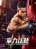 拳力以赴海报